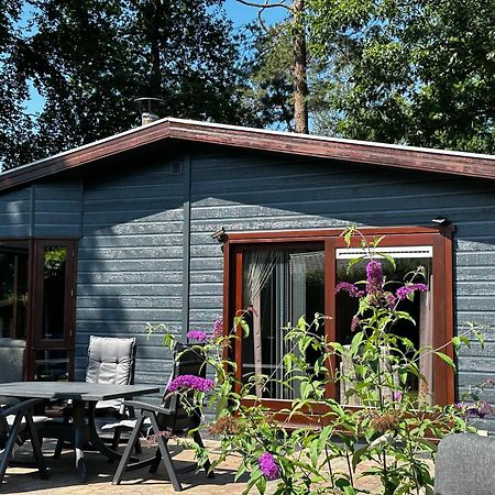 Dubbele Chalet Op Recreatiepark Topparken Op De Veluwe In Beekbergen Met Grote Vrije Tuin En Eigen Parkeerplaats Экстерьер фото